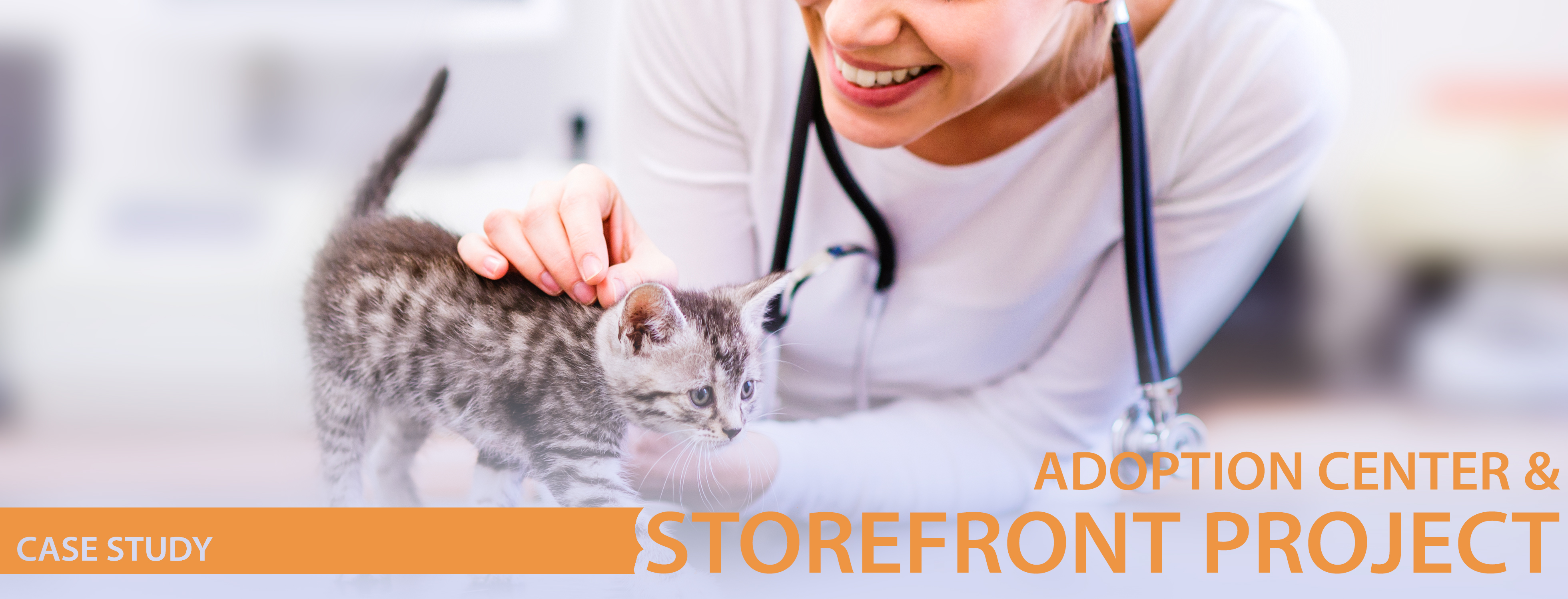adoption center and storefront project case study header
