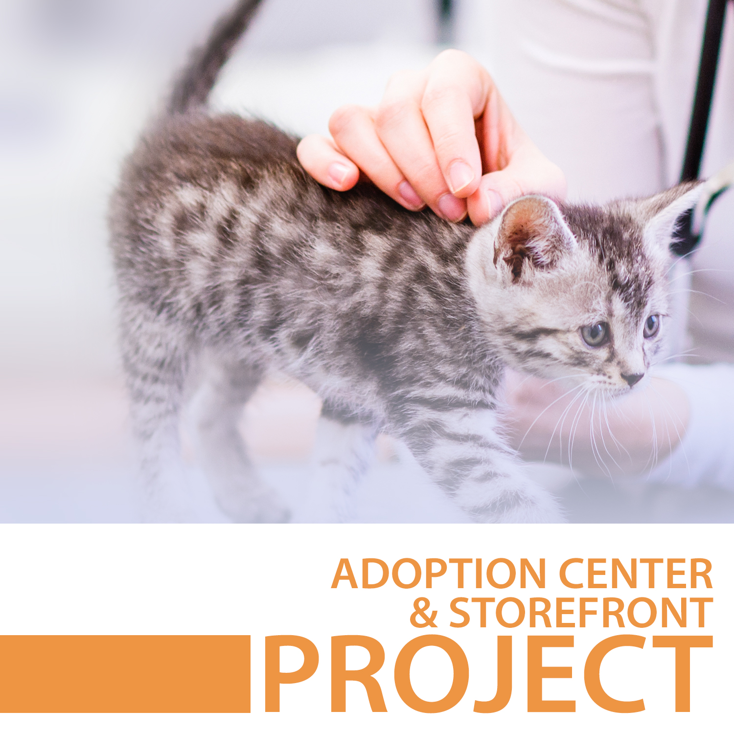 adoption center and storefront project case study icon