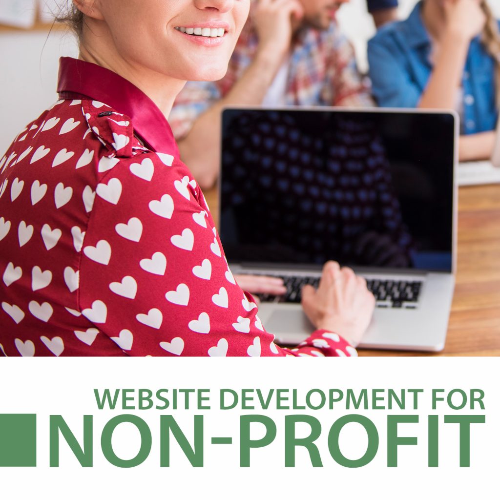 website development for non-profit case study icon